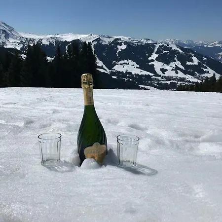 Apartmán Pointe Des Aravis 4 Pers Hte-savoie *